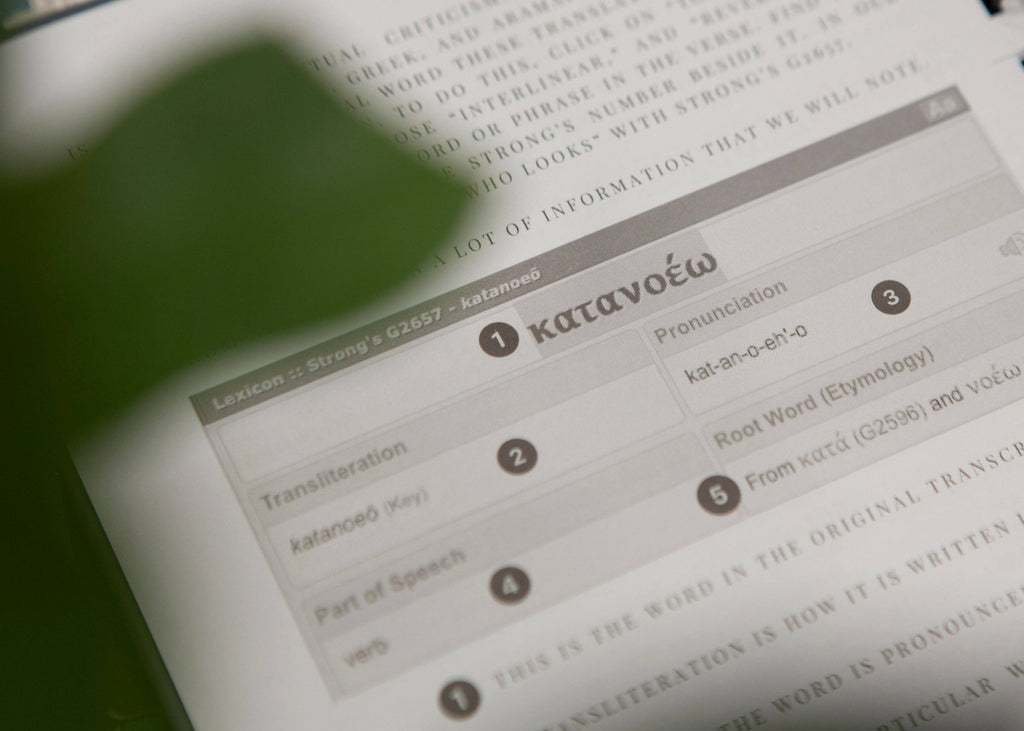 Bible Journal for Verse by Verse Bible Study