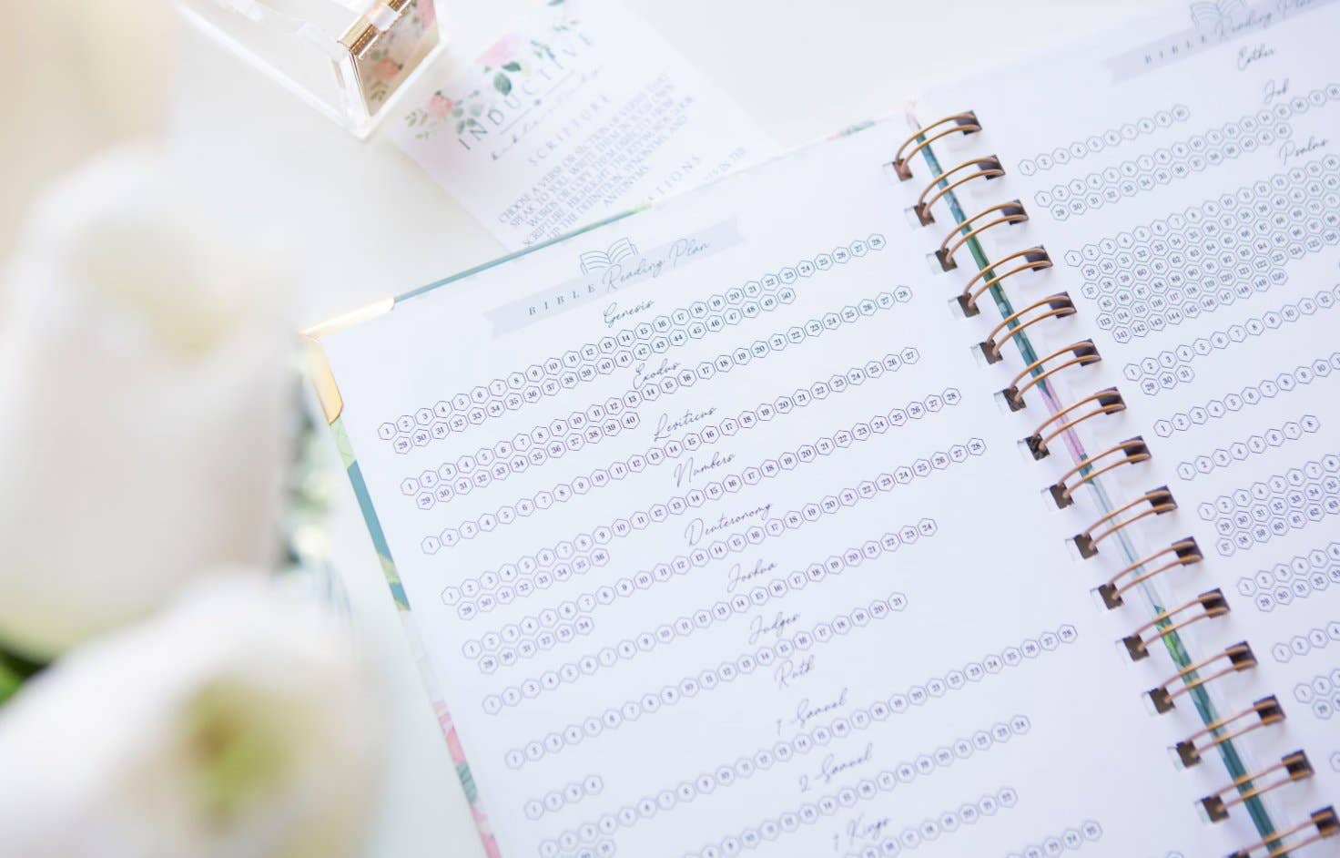 Bible Journal for Verse by Verse Bible Study