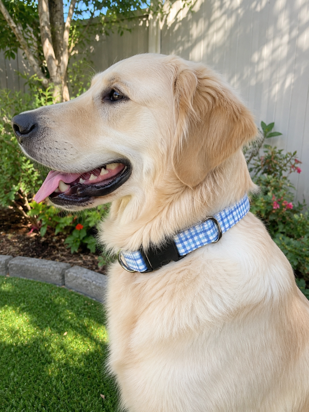 Dog Collar - Large Breed