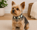 Dog Collar - Small
