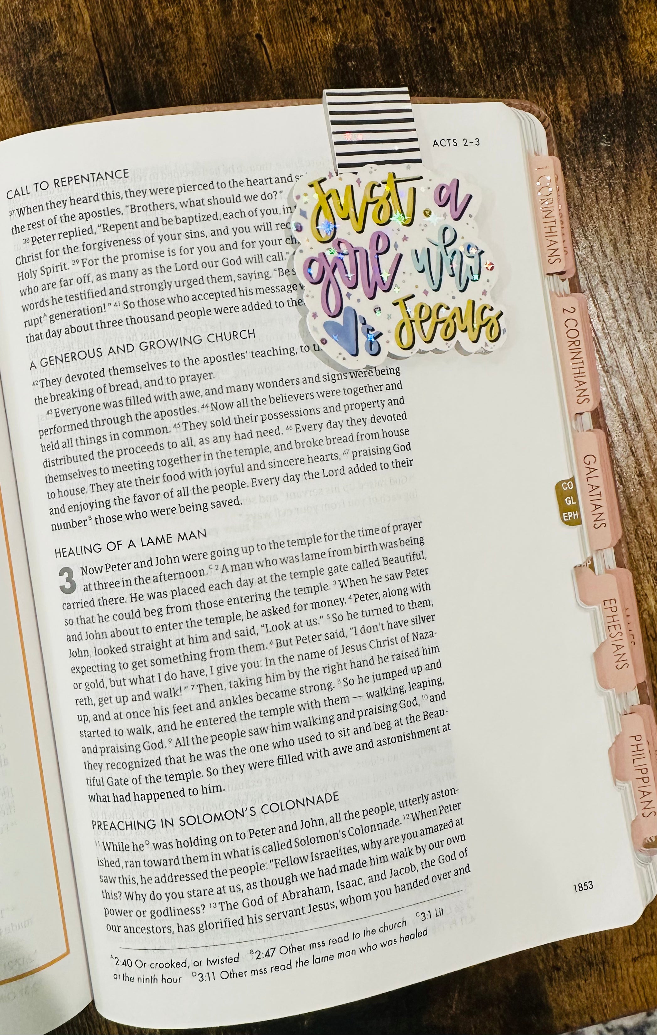 Just a Girl who loves Jesus Magnetic Bookmark