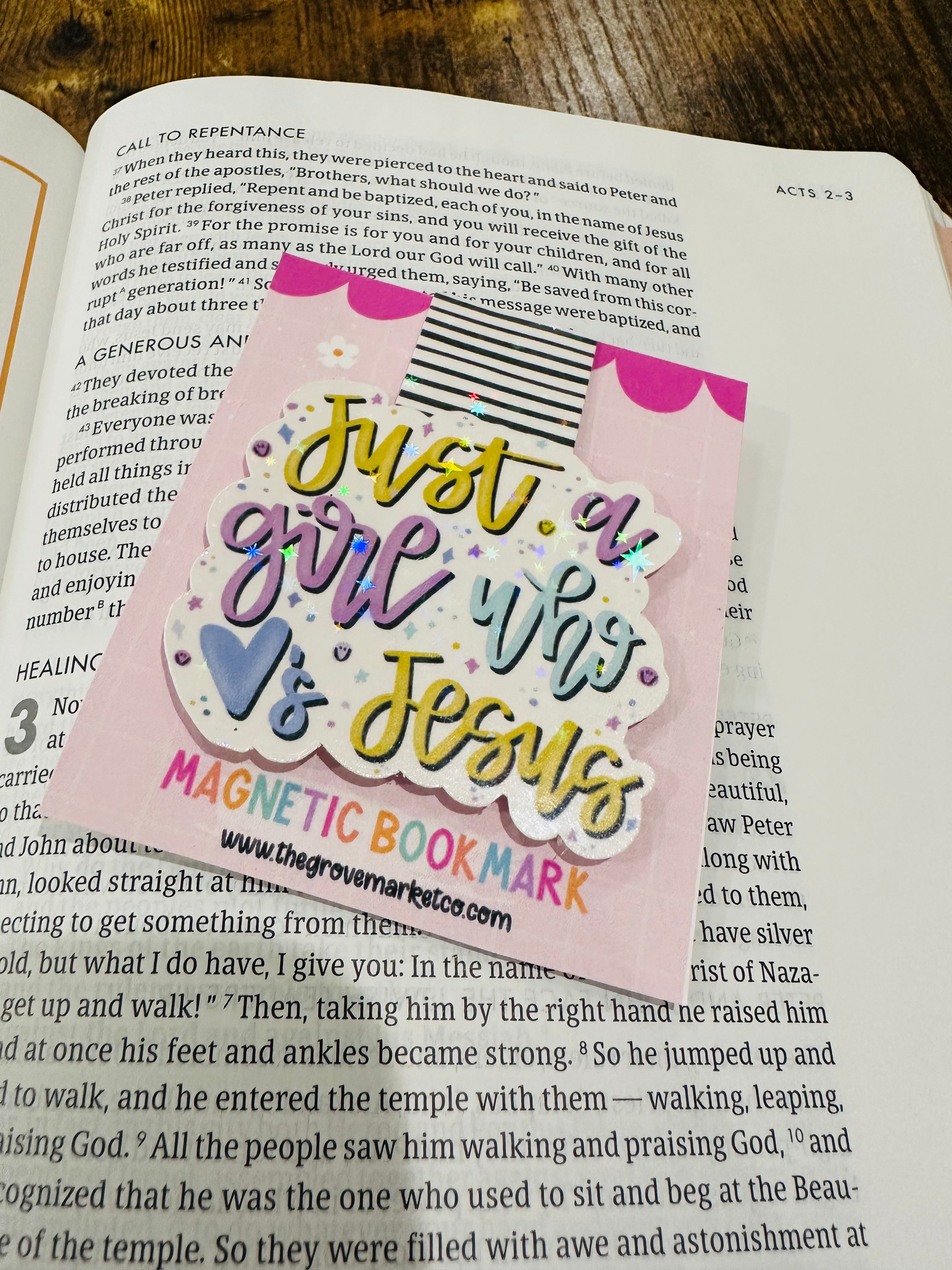 Just a Girl who loves Jesus Magnetic Bookmark