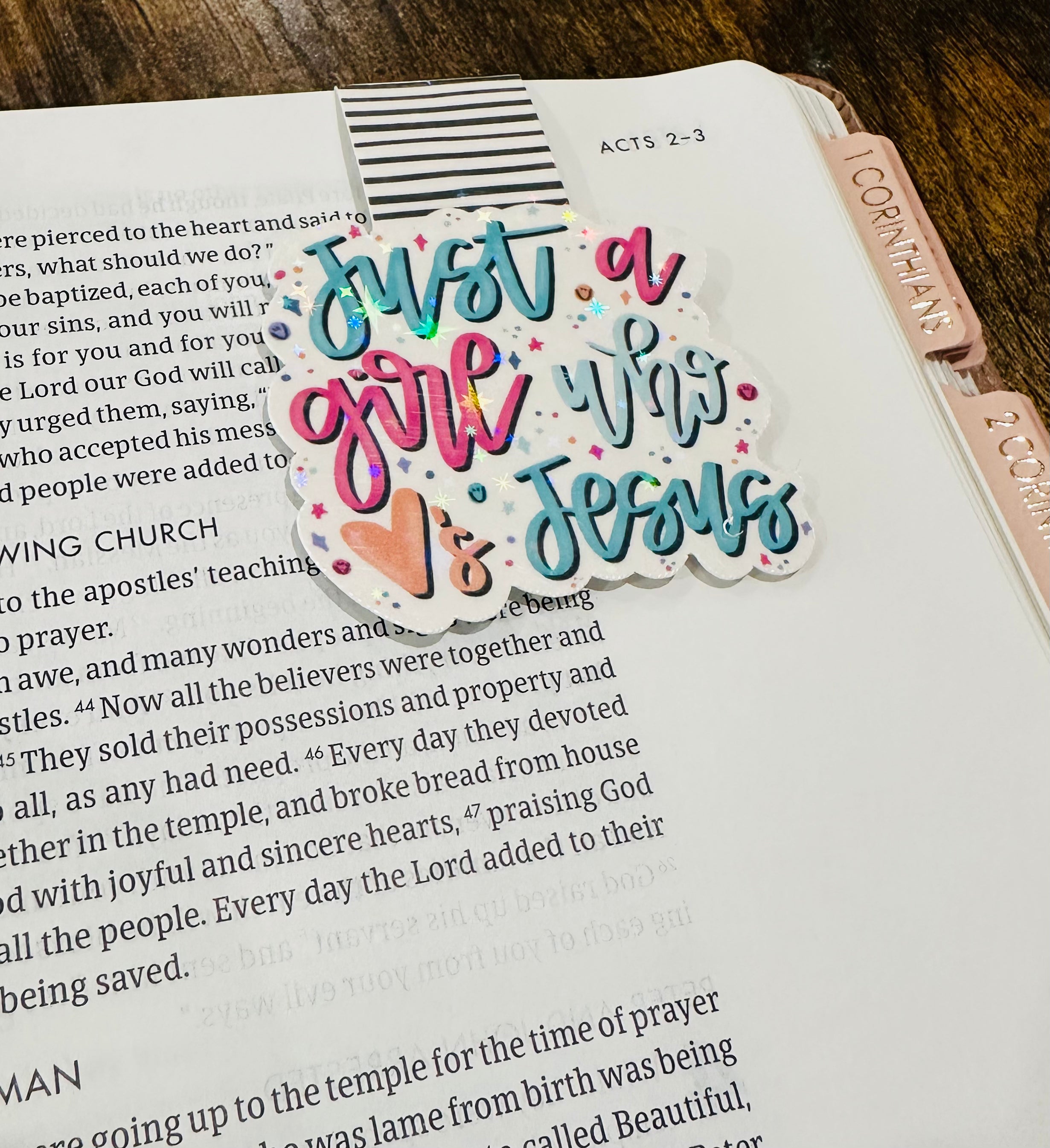 Just a Girl who loves Jesus Magnetic Bookmark