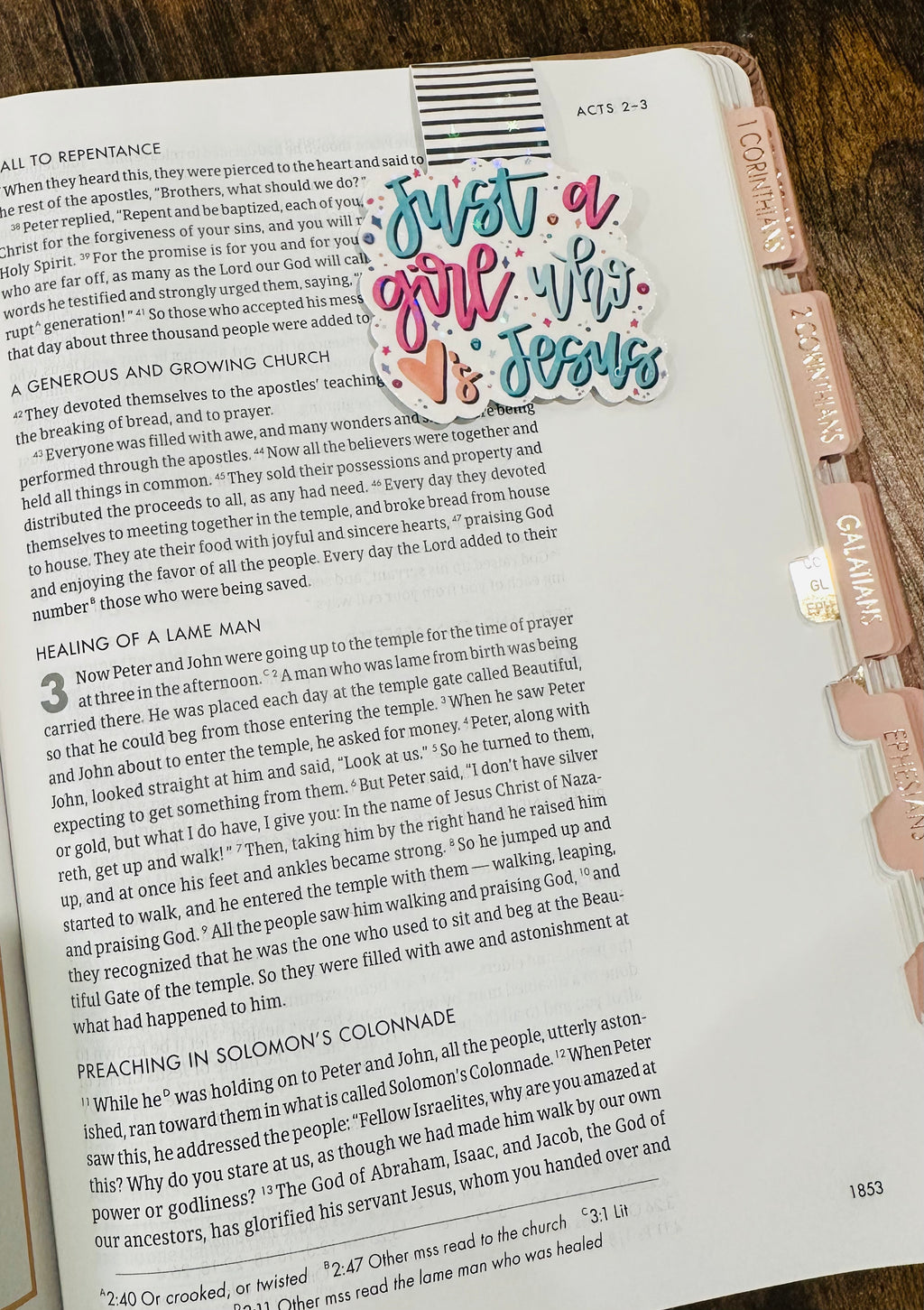 Just a Girl who loves Jesus Magnetic Bookmark