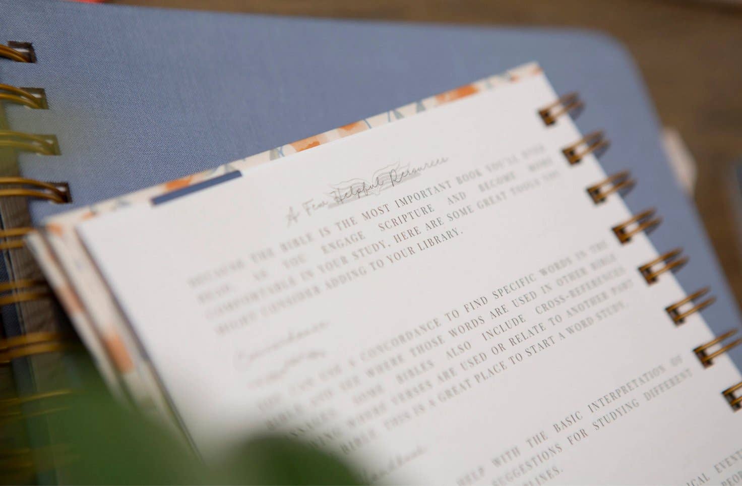 Bible Journal for Verse by Verse Bible Study