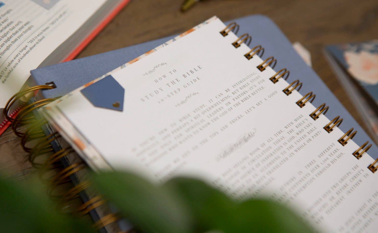 Bible Journal for Verse by Verse Bible Study