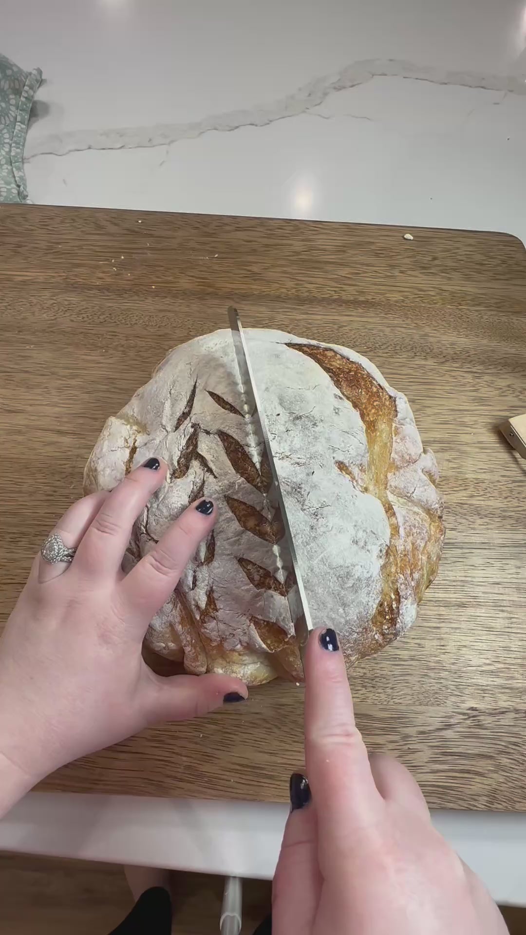 Dehydrated Sourdough Starter